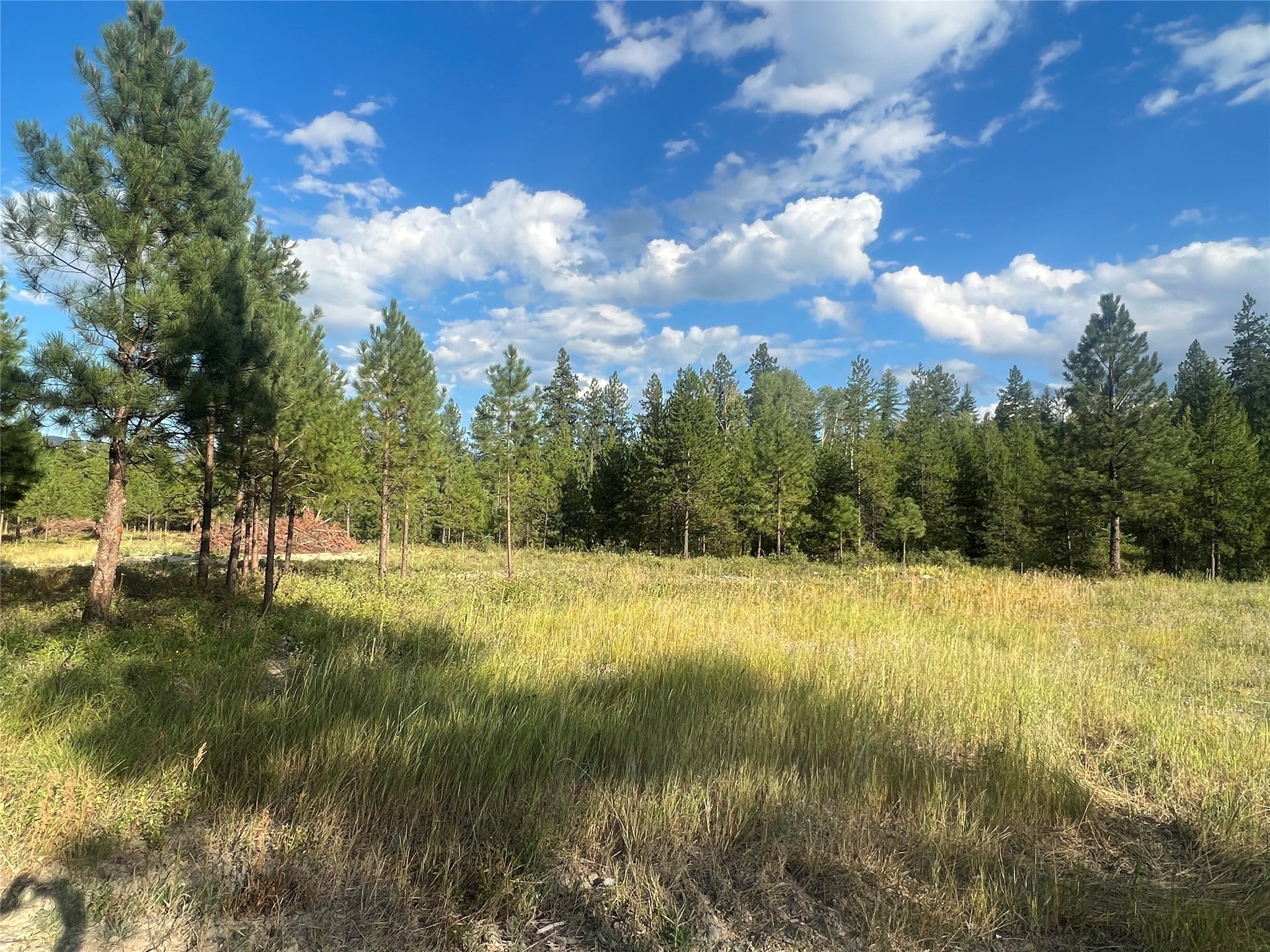 Tbd Granite Lake Road, Unit 3 Libby, MT 59923 - Photo 6 of 7 Gallery Image 6