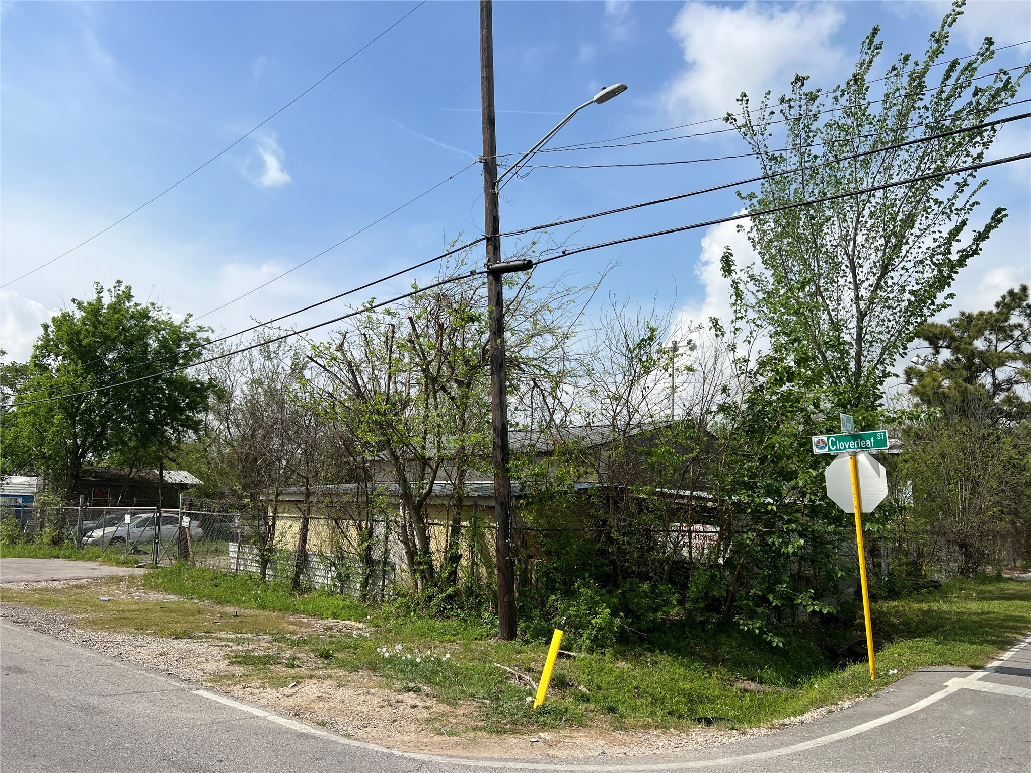 14344 Force Street Houston, TX 77015 - Photo 11 of 14 a backyard of a house with lots of green space
