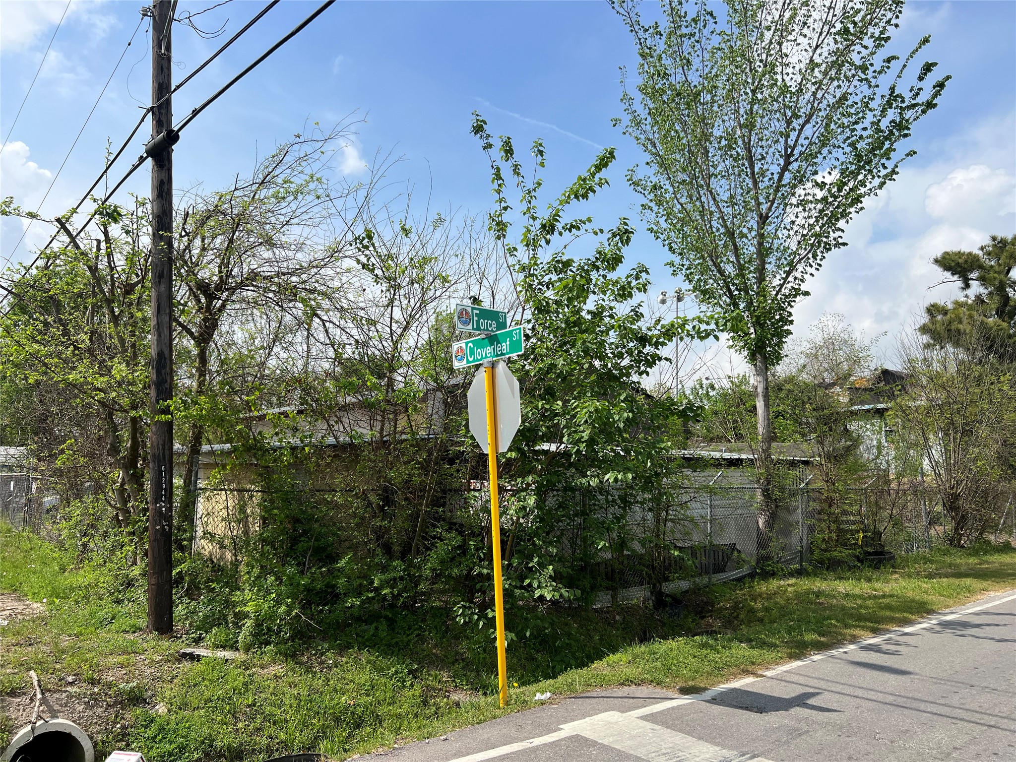 14344 Force Street Houston, TX 77015 - Photo 2 of 14 a backyard of a house with lots of green space