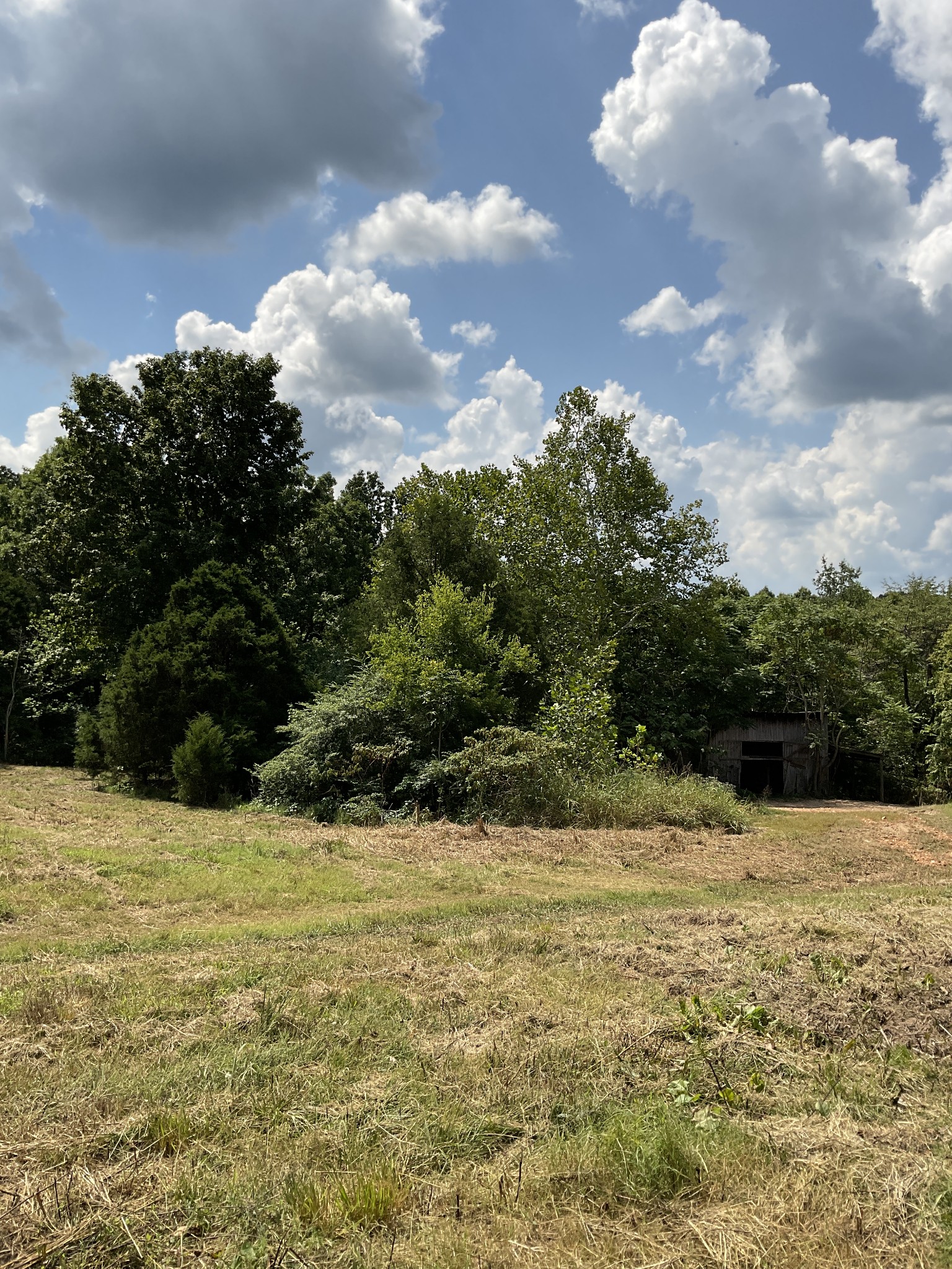 2 Oak Ridge Road Palmyra, TN 37142 - Photo 11 of 12 Gallery Image 11