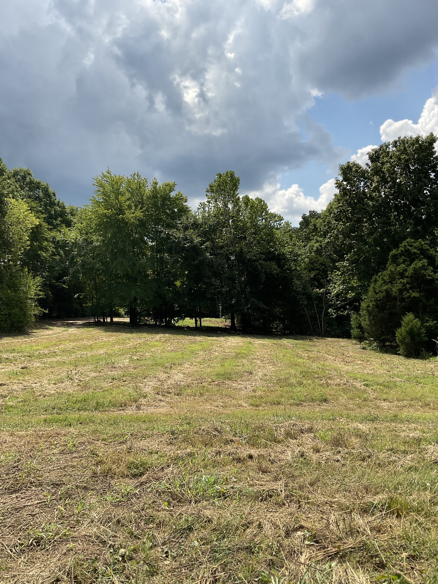 2 Oak Ridge Road Palmyra, TN 37142 - Photo 12 of 12 Gallery Image 12