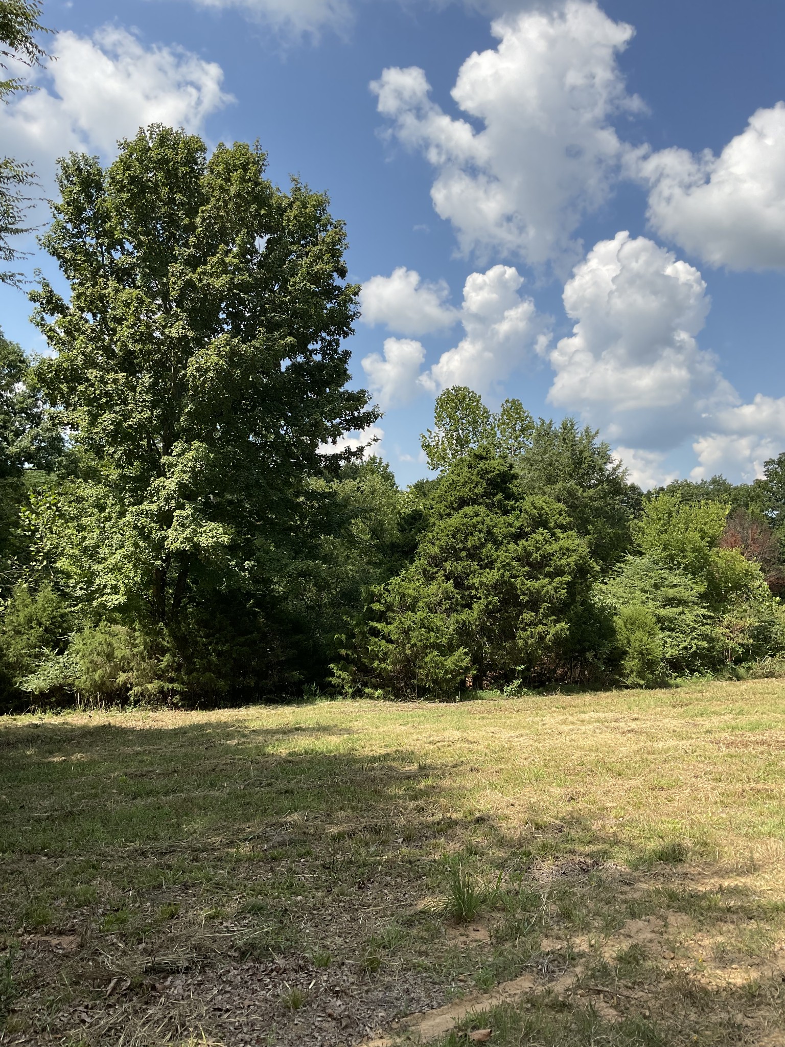 2 Oak Ridge Road Palmyra, TN 37142 - Photo 9 of 12 Gallery Image 9