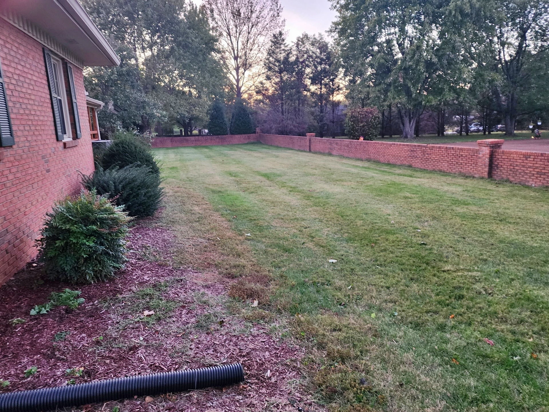 407 Tivoli Trail Springfield, TN 37172 - Photo 3 of 21 a view of a backyard with large trees