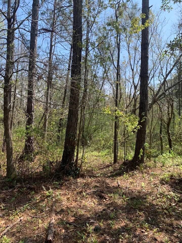 26264 Feely Road Elberta, AL 36530 - Photo 27 of 30