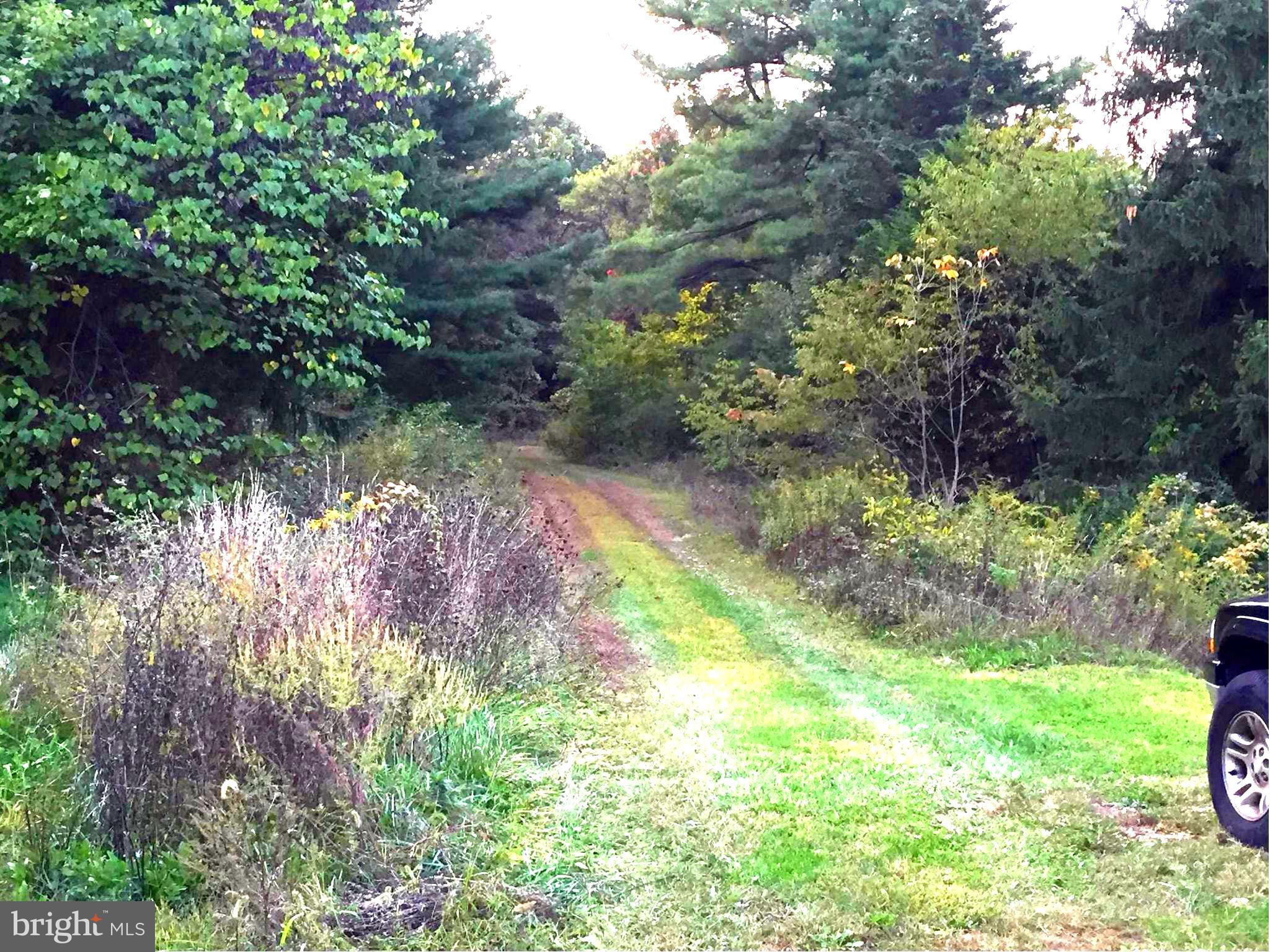 Dicks Hollow Road Winchester, VA 22603 - Photo 11 of 22 View