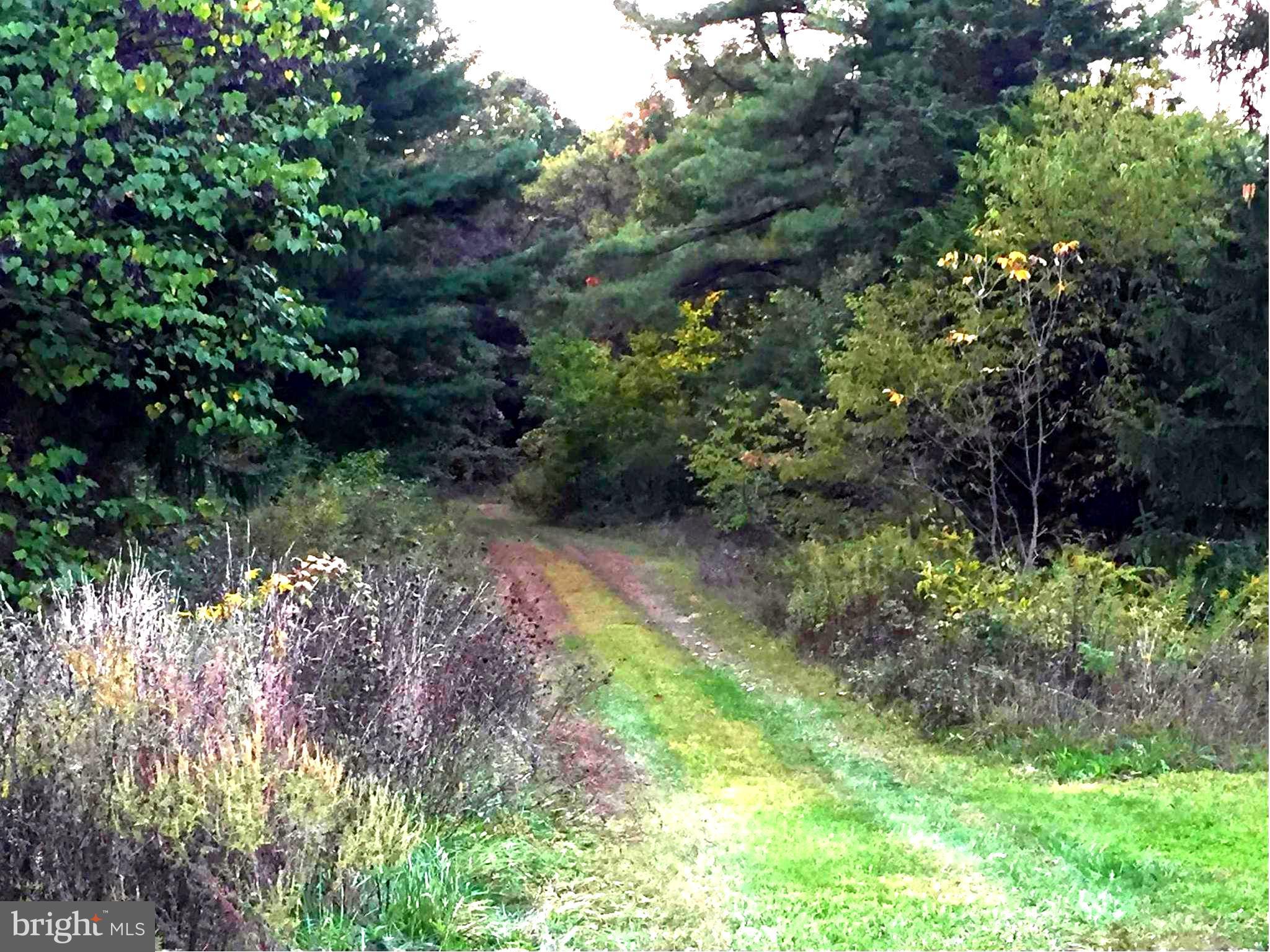 Dicks Hollow Road Winchester, VA 22603 - Photo 12 of 22 View