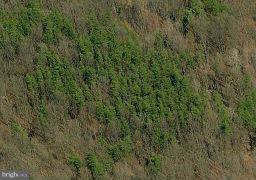 Dicks Hollow Road Winchester, VA 22603 - Photo 13 of 22 Exterior (General)