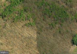 Dicks Hollow Road Winchester, VA 22603 - Photo 14 of 22 Exterior (General)