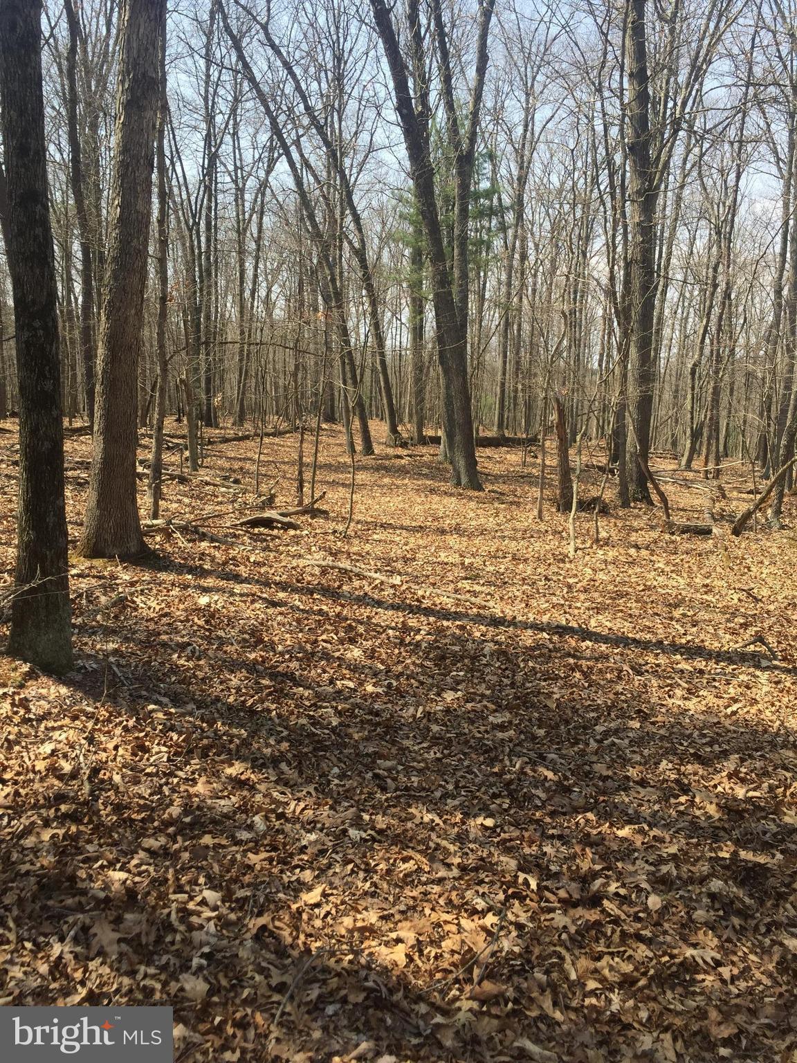 Dicks Hollow Road Winchester, VA 22603 - Photo 15 of 22 View