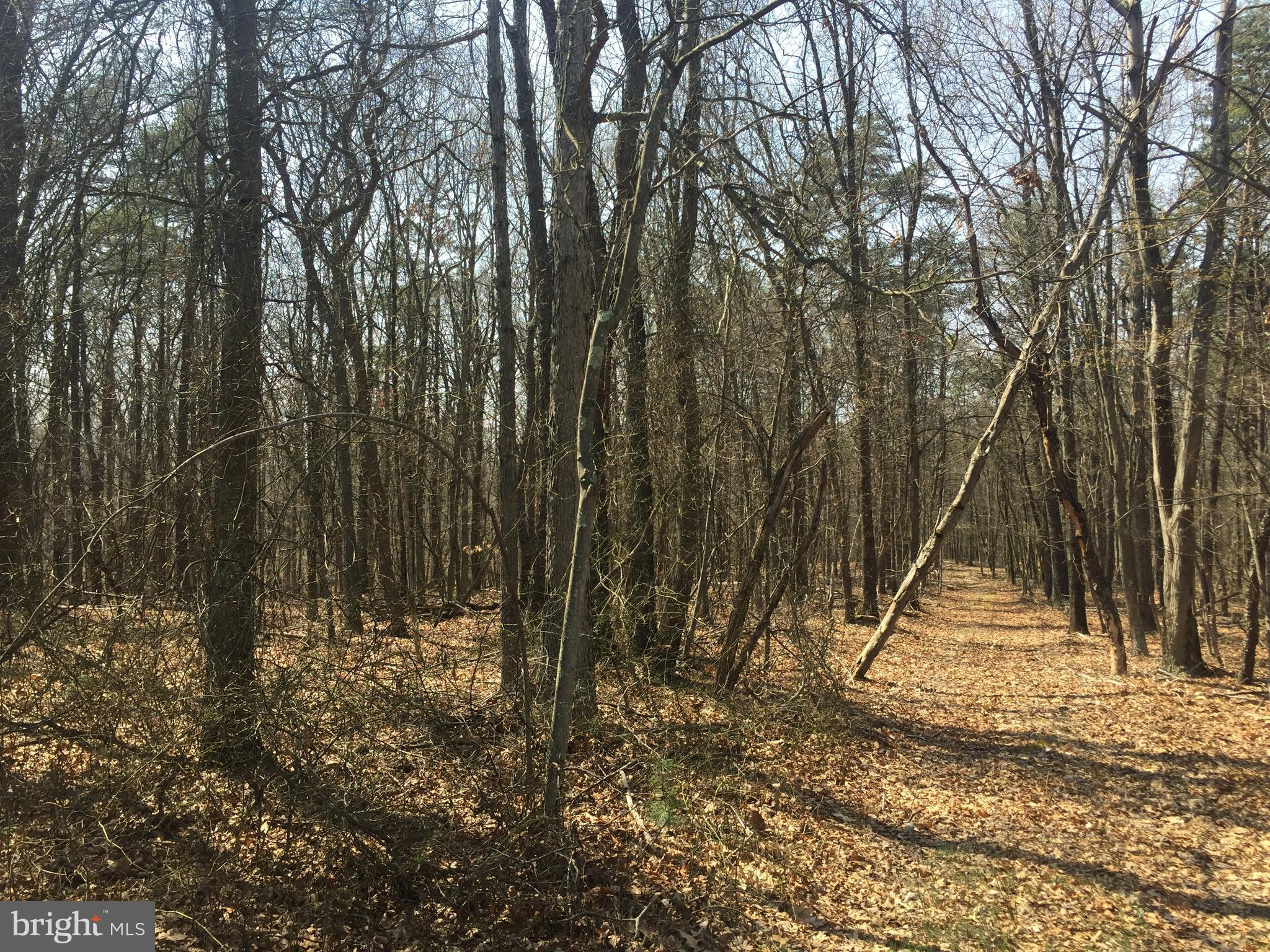 Dicks Hollow Road Winchester, VA 22603 - Photo 17 of 22 View