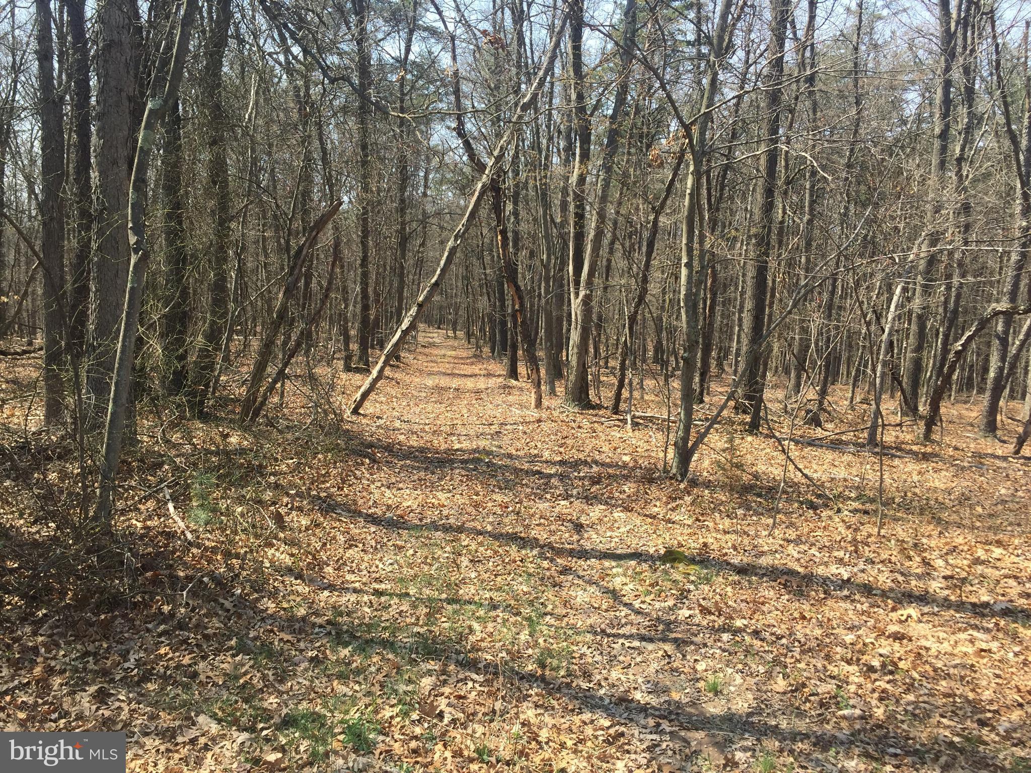 Dicks Hollow Road Winchester, VA 22603 - Photo 18 of 22 View