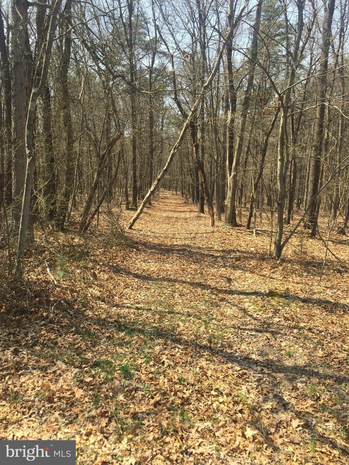 Dicks Hollow Road Winchester, VA 22603 - Photo 20 of 22 View