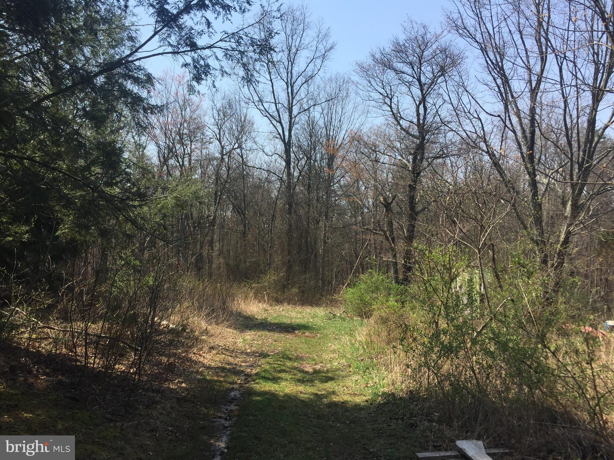 Dicks Hollow Road Winchester, VA 22603 - Photo 21 of 22 View