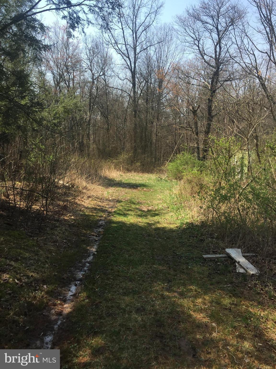 Dicks Hollow Road Winchester, VA 22603 - Photo 22 of 22 View