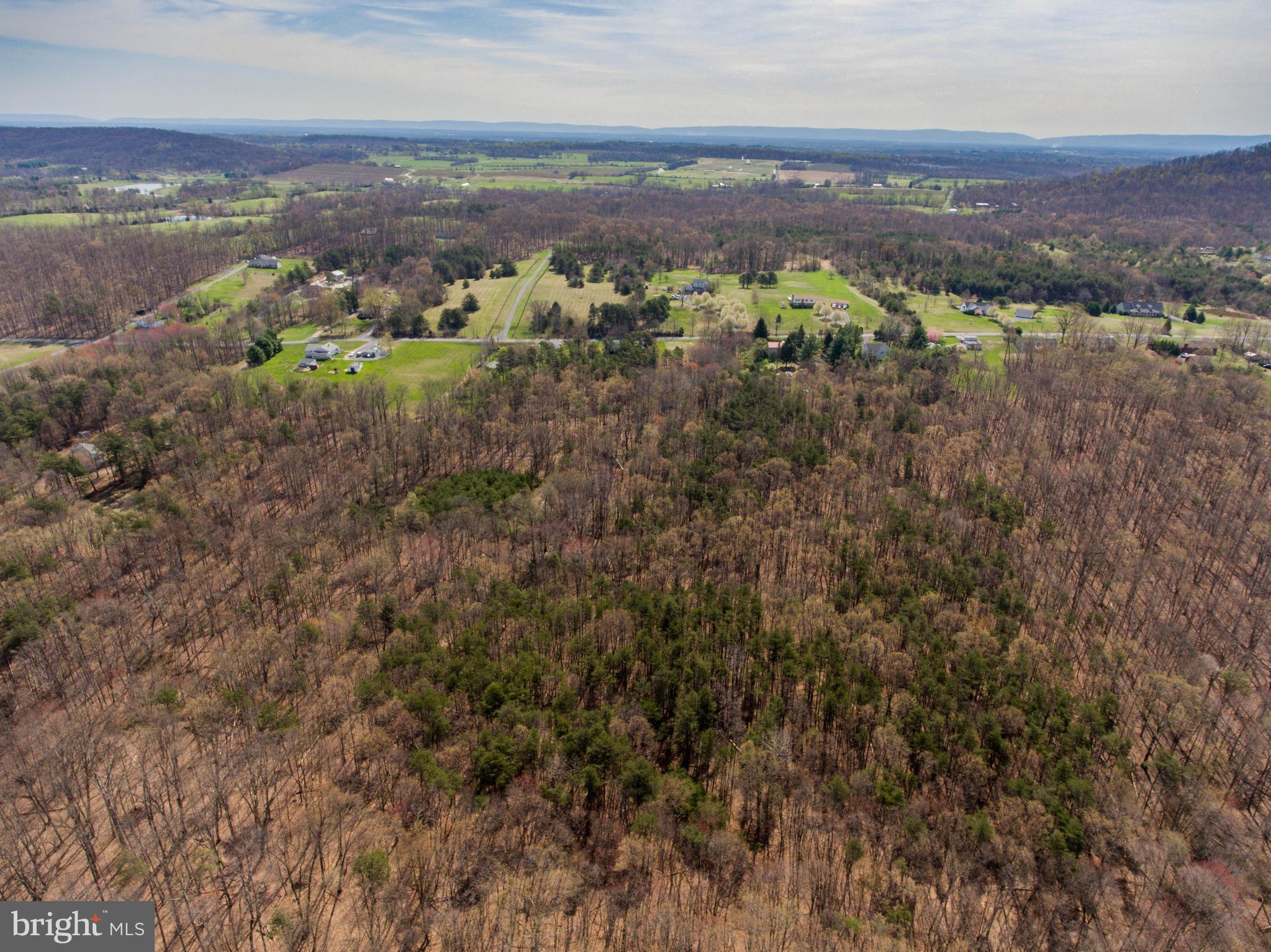 Dicks Hollow Road Winchester, VA 22603 - Photo 4 of 22 View