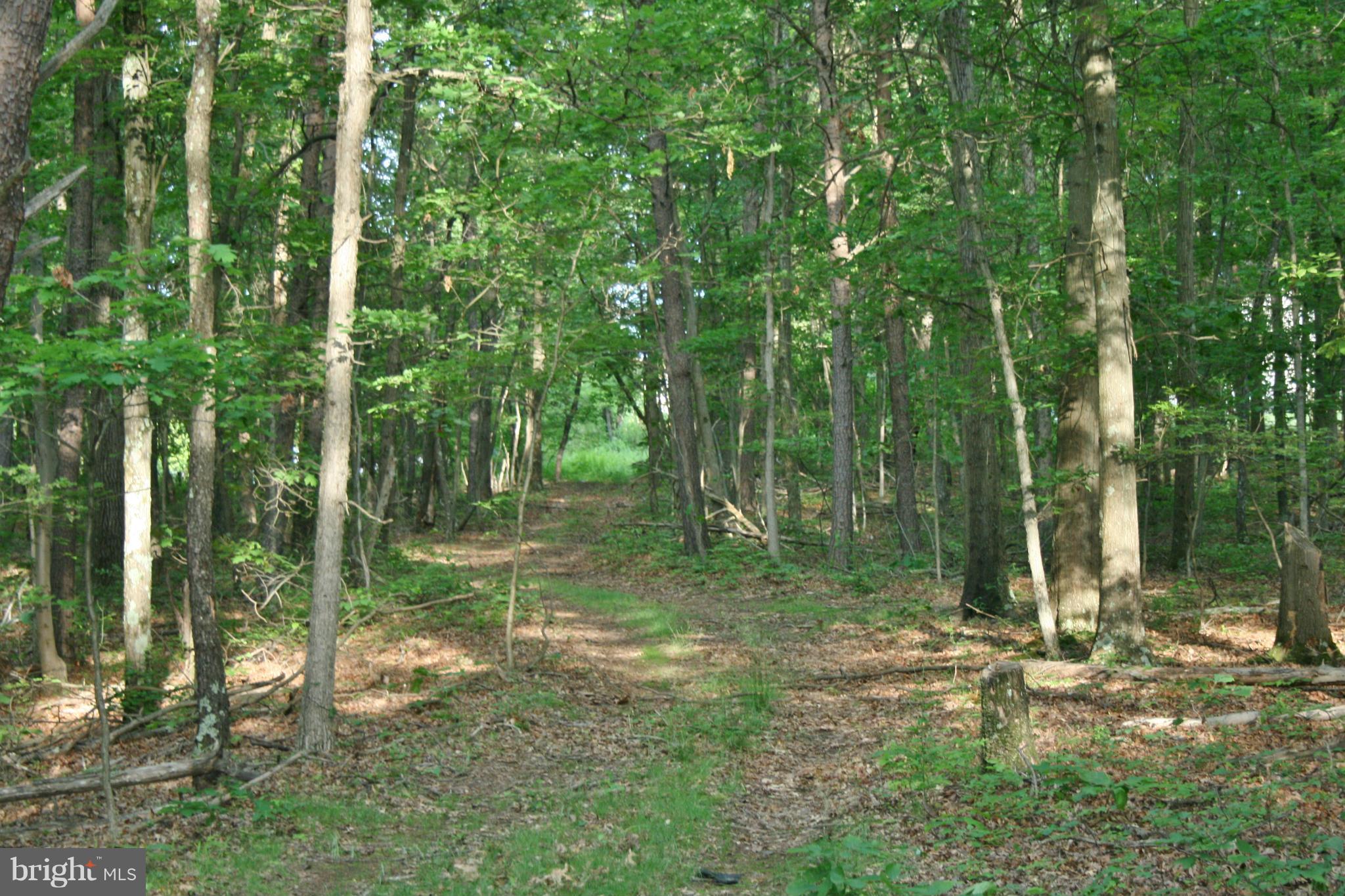 Dicks Hollow Road Winchester, VA 22603 - Photo 8 of 22 Exterior (General)