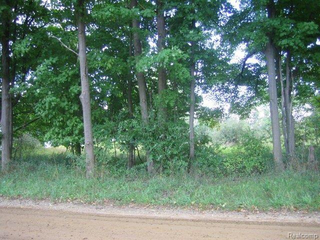 3 Five Lks Road Lapeer, MI 48446 - Photo 3 of 9 IMG_4650.JPG