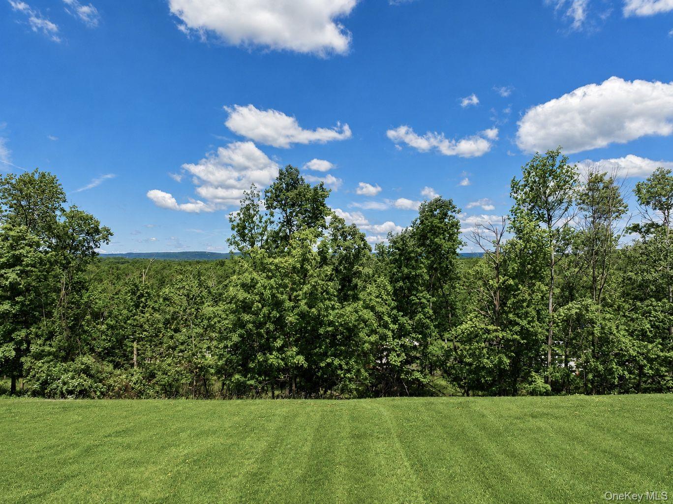 11 Oak Ridge Road Middletown, NY 10940 - Photo 32 of 40 back yard with views of mountains