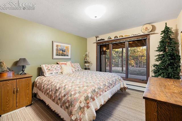 18145 Furrow Road Monument, CO 80132 - Photo 24 of 30 This lower-level bedroom has beautiful views as well.