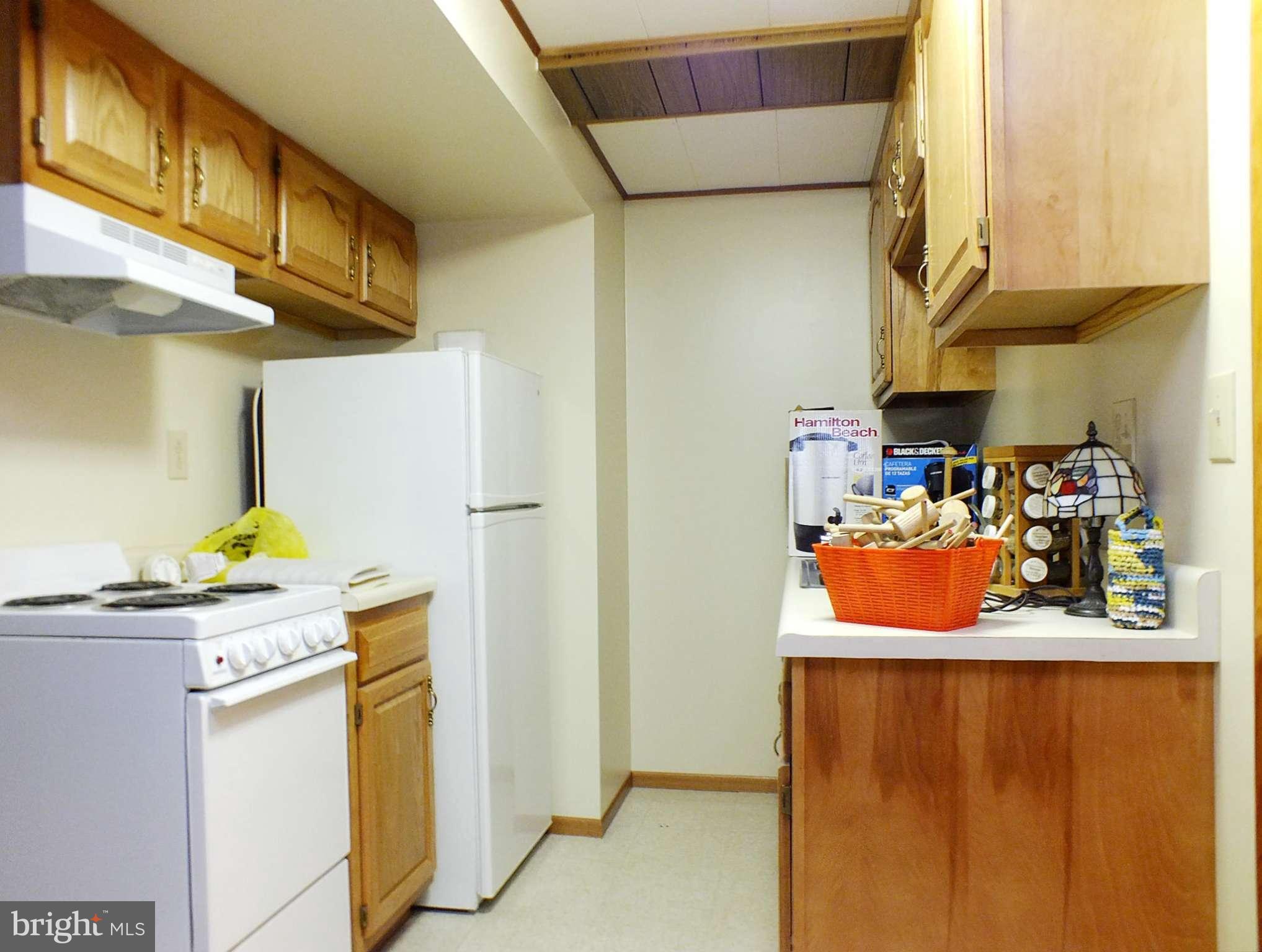 20949 Mt Zion Road Freeland, MD 21053 - Photo 23 of 30 Lower Level Kitchen 1