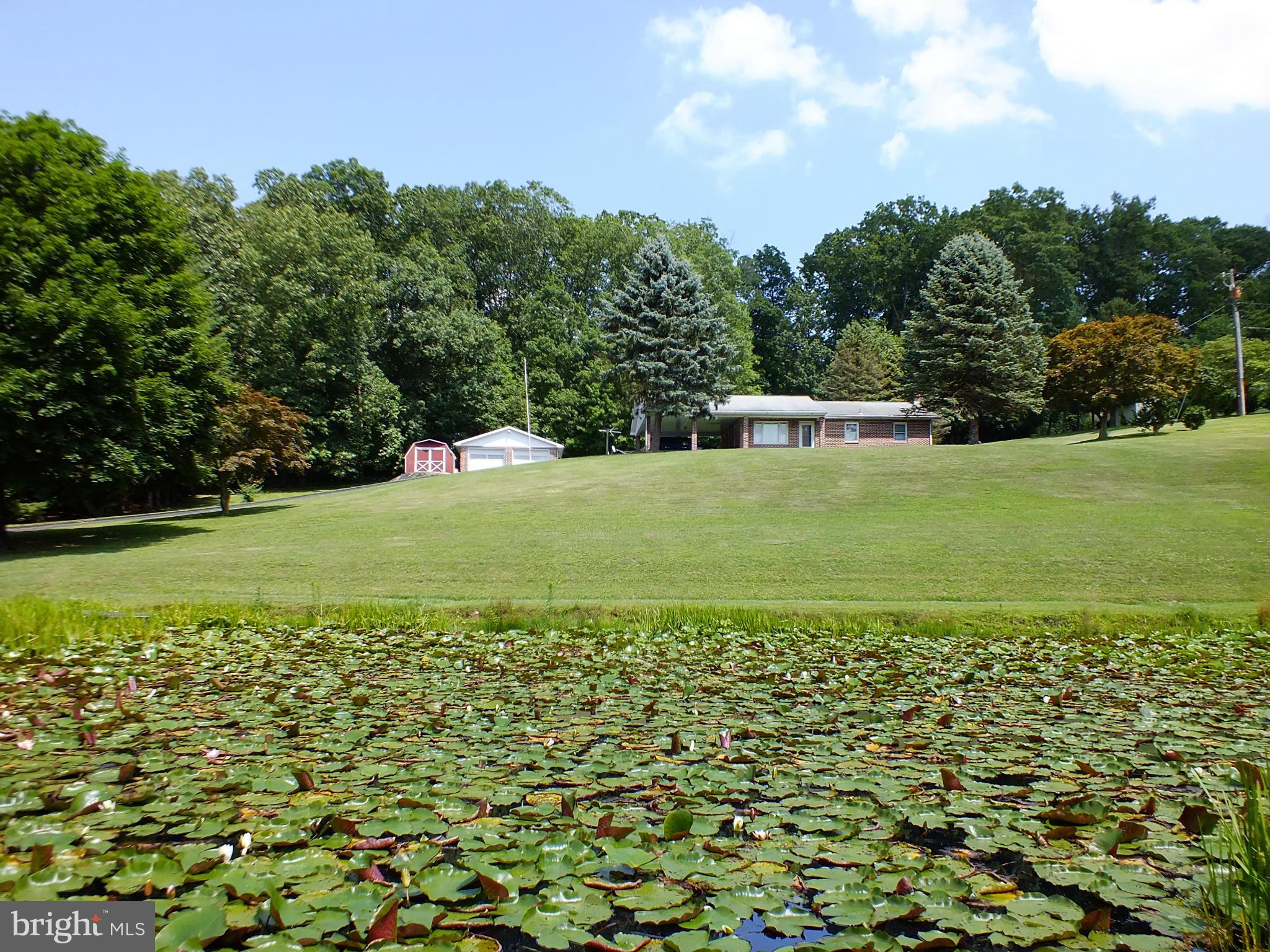 4.8 Lush Acres with a Pond