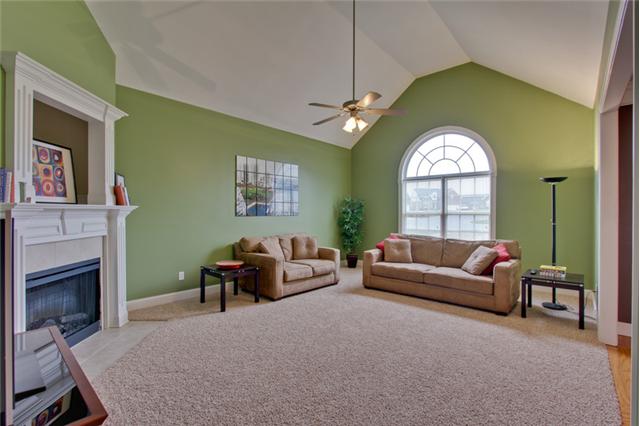 820 Renaissance Avenue Murfreesboro, TN 37129 - Photo 6 of 19 The large family room features new frieze' carpeting, vaulted ceiling and expansive paladium window...so pretty!