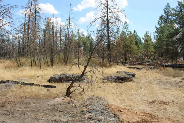 $54,950 | Xxx South Xxx S Chapman Road, Medical Lake, WA 99022