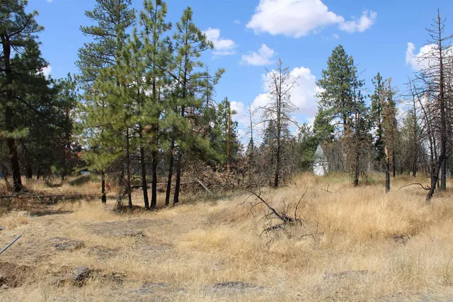 $54,950 | Xxx South Xxx S Chapman Road, Medical Lake, WA 99022