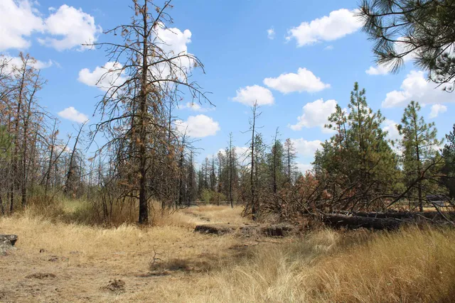 $54,950 | Xxx South Xxx S Chapman Road, Medical Lake, WA 99022