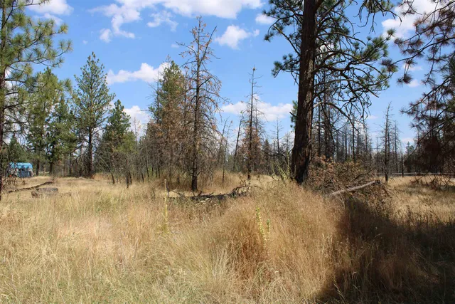 $54,950 | Xxx South Xxx S Chapman Road, Medical Lake, WA 99022