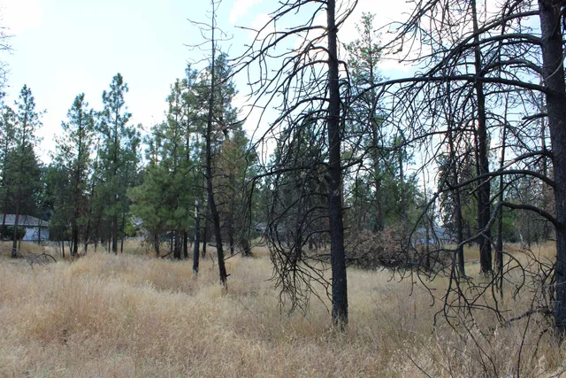 $54,950 | Xxx South Xxx S Chapman Road, Medical Lake, WA 99022