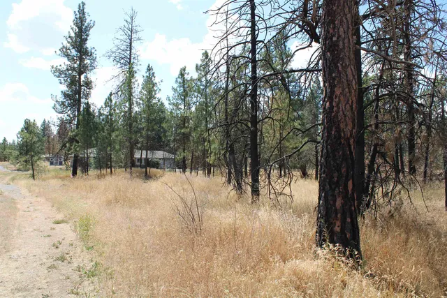 $54,950 | Xxx South Xxx S Chapman Road, Medical Lake, WA 99022