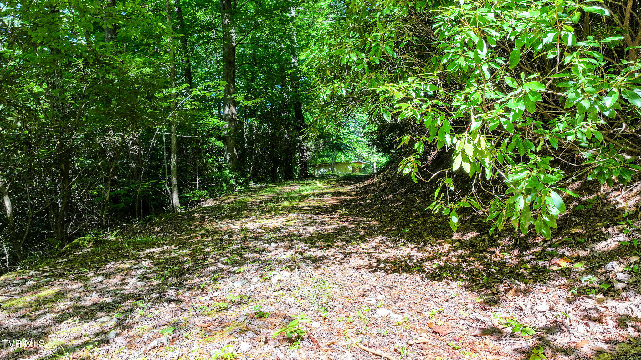 390 Fiddlers Branch Road Hampton, TN 37658 - Photo 69 of 79 70