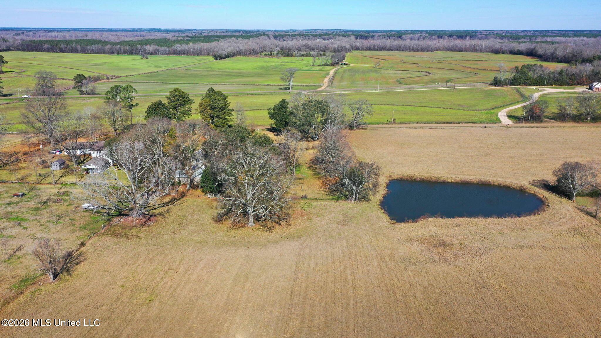 205 Avondale Road Canton, MS 39046 - Photo 4 of 8 77-web-or-mls-205 Avondale-72