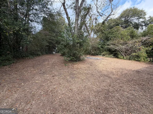 a view of a dry yard with trees in the background