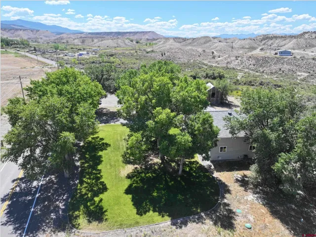 a map view of a forest with lots of trees