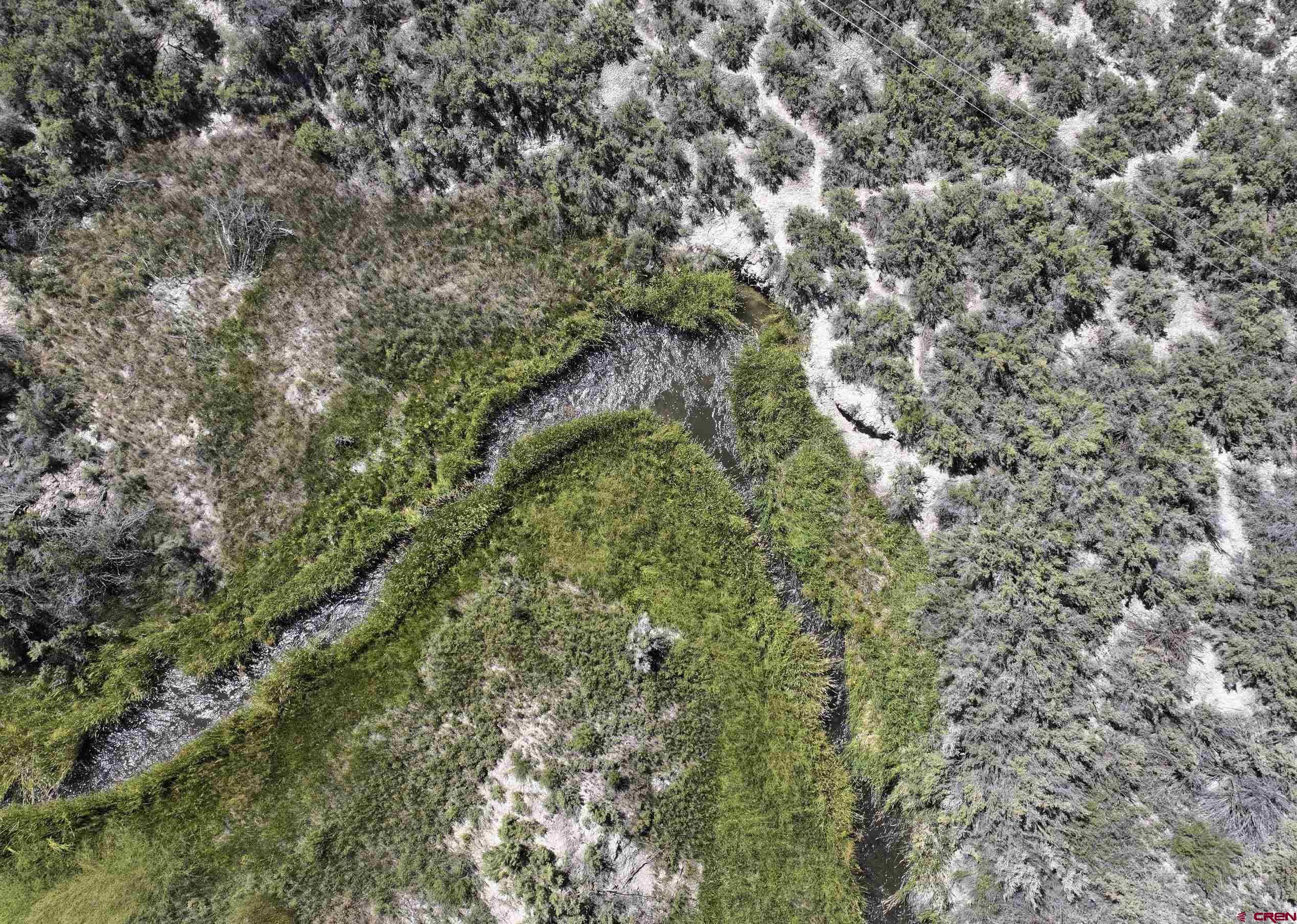 68600 Kinikin Road Montrose, CO 81403 - Photo 37 of 44 a map view of a forest with lots of trees