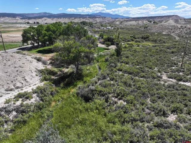 a view of a valley with a mountain in the background
