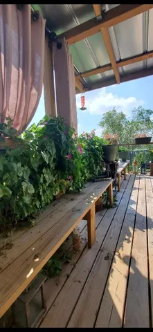 $1,995 | 231 Winter Street, Kyle, TX 78640