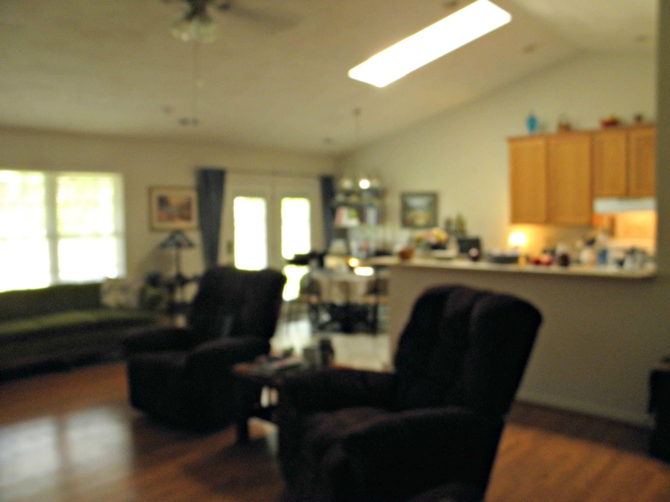 6830 Albert Road Roanoke, VA 24019 - Photo 6 of 27 Great Room