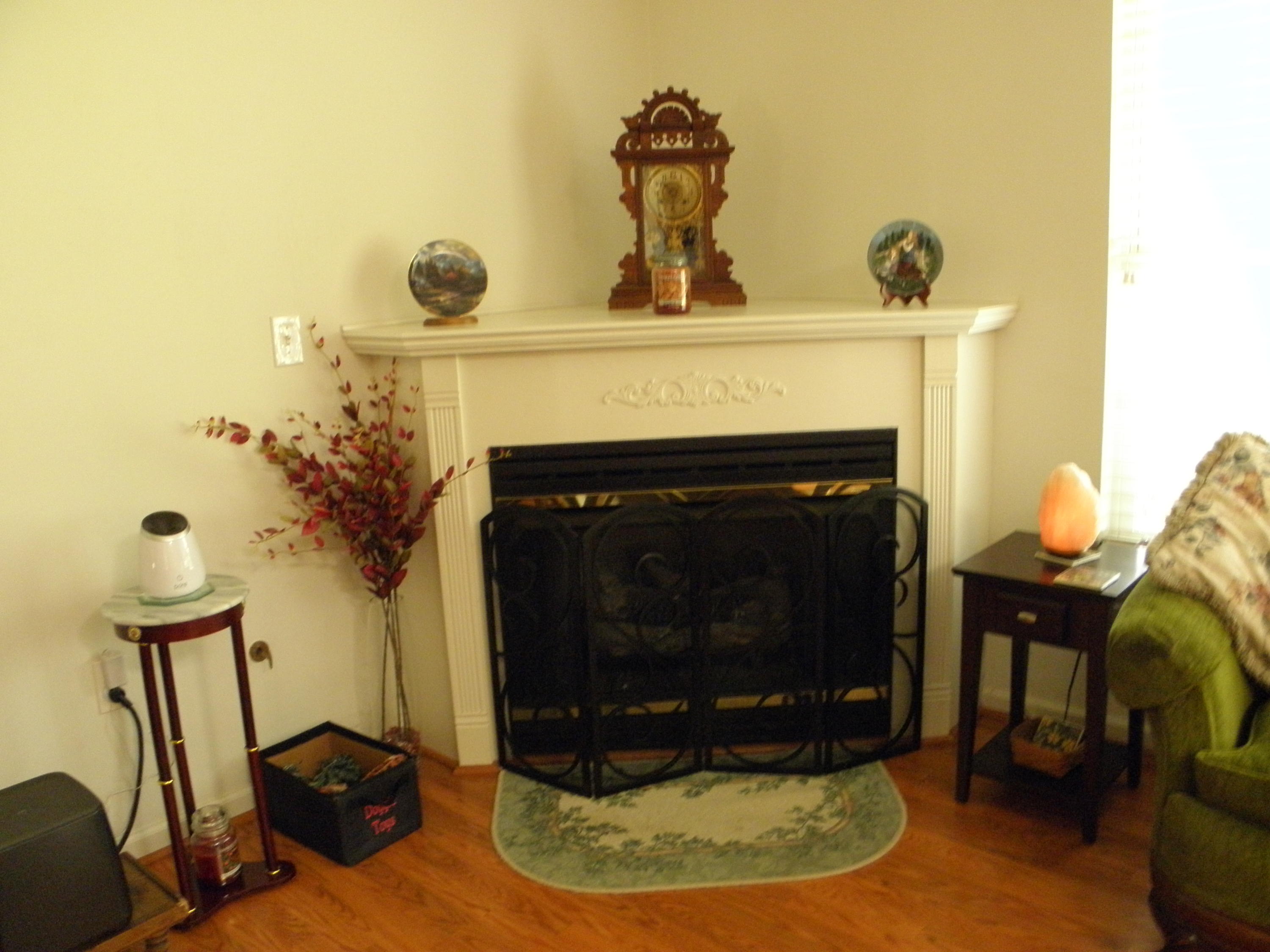 6830 Albert Road Roanoke, VA 24019 - Photo 7 of 27 Fireplace
