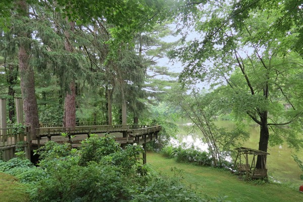 8 Sabrina Road Wellesley, MA 02482 - Photo 3 of 4 Gallery Image 3