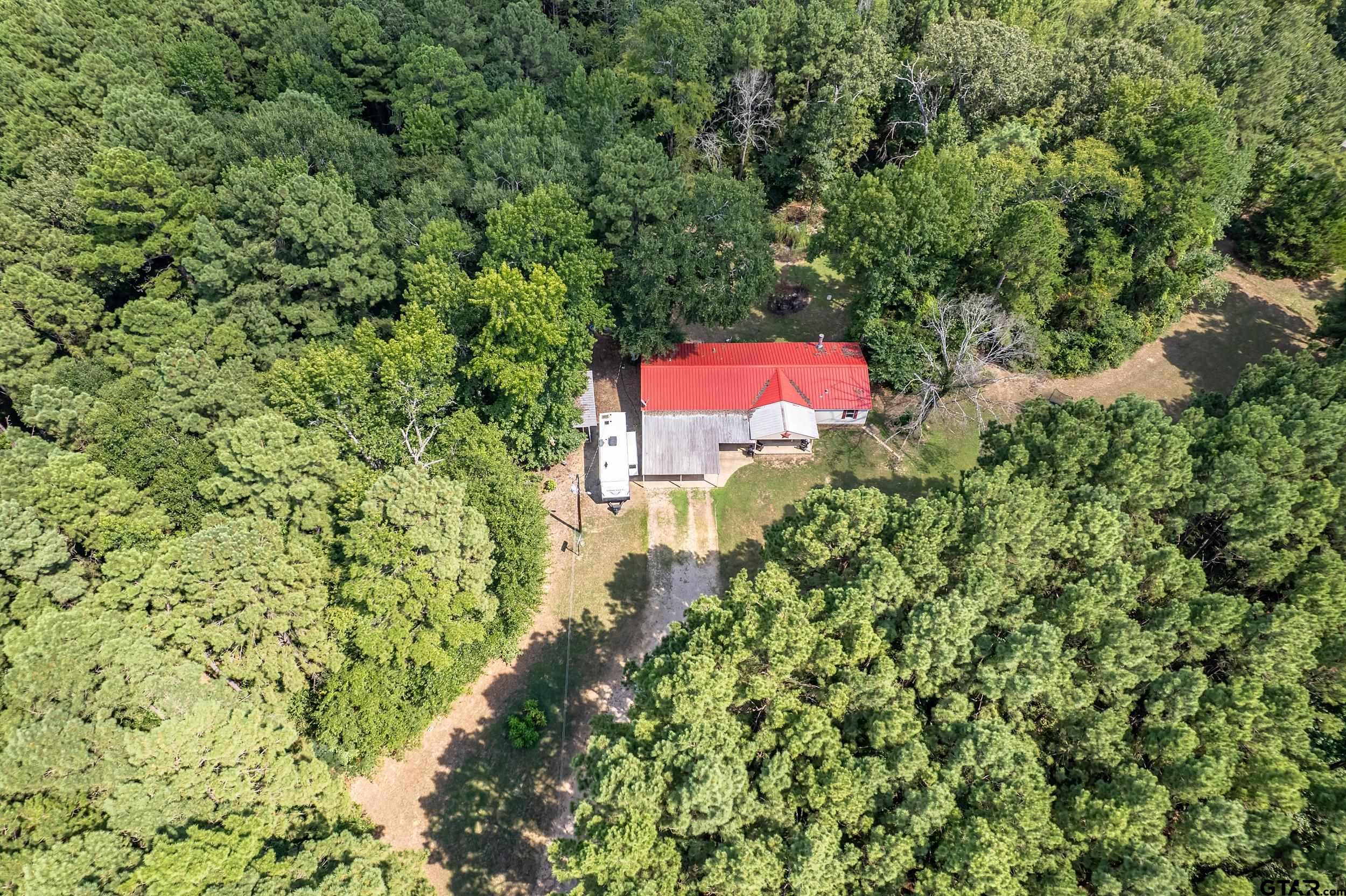 1655 County Road 2120 Rusk, TX 75785 - Photo 11 of 37 a view of a yard with plants