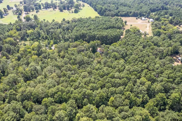 an aerial view of residential houses with outdoor space and trees
