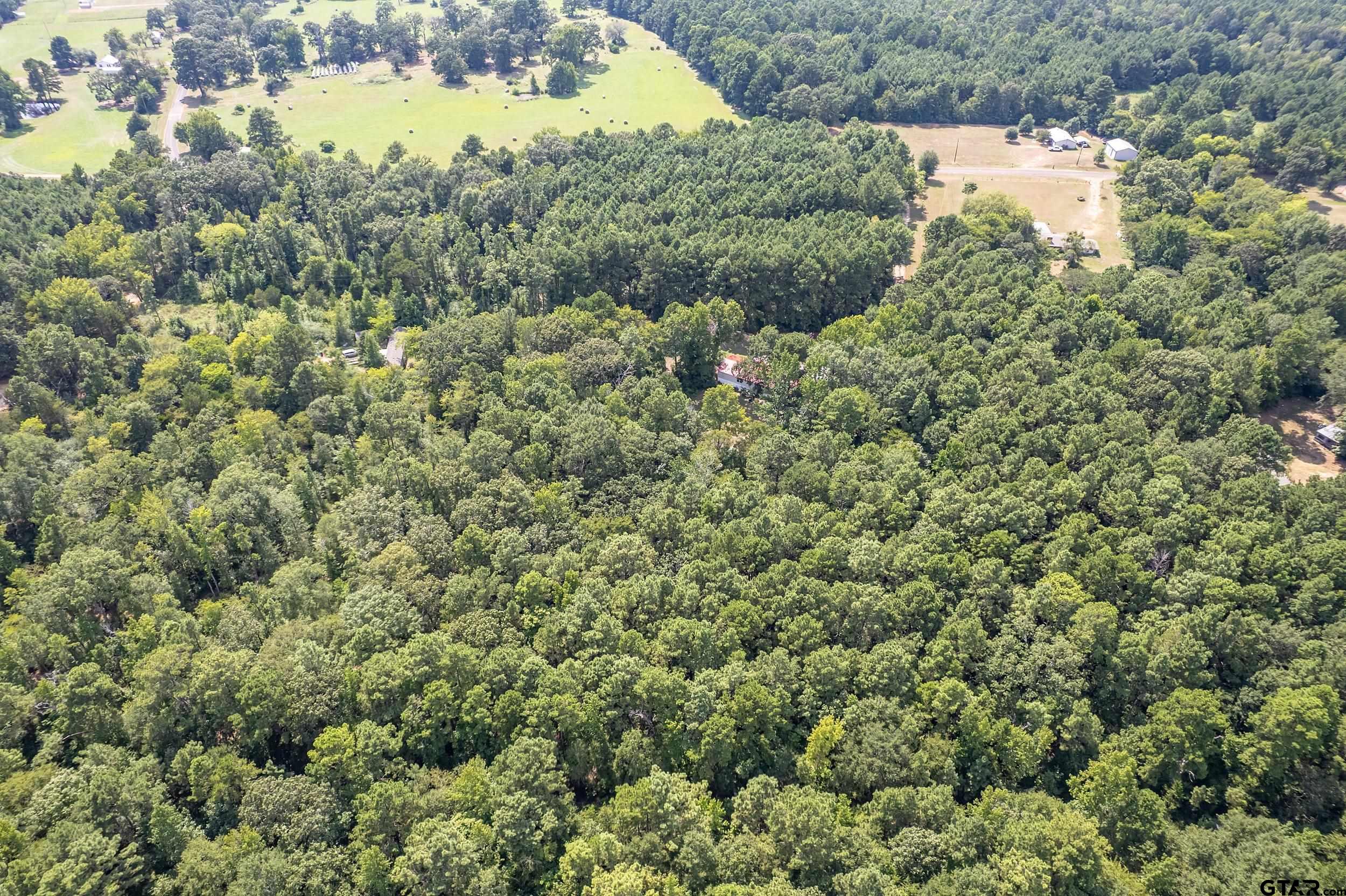 1655 County Road 2120 Rusk, TX 75785 - Photo 14 of 37 an aerial view of residential houses with outdoor space and trees