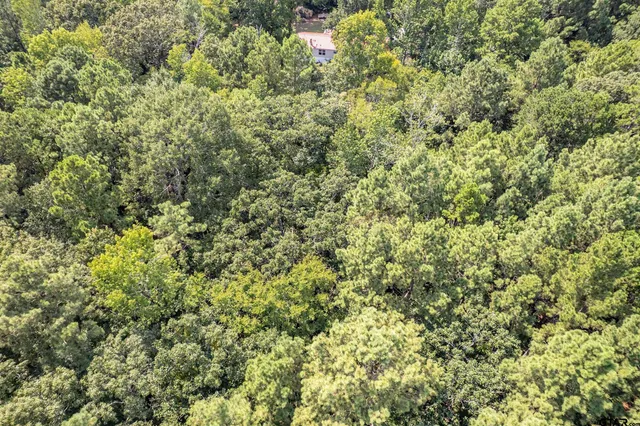 a bedroom with bed and wooden floor