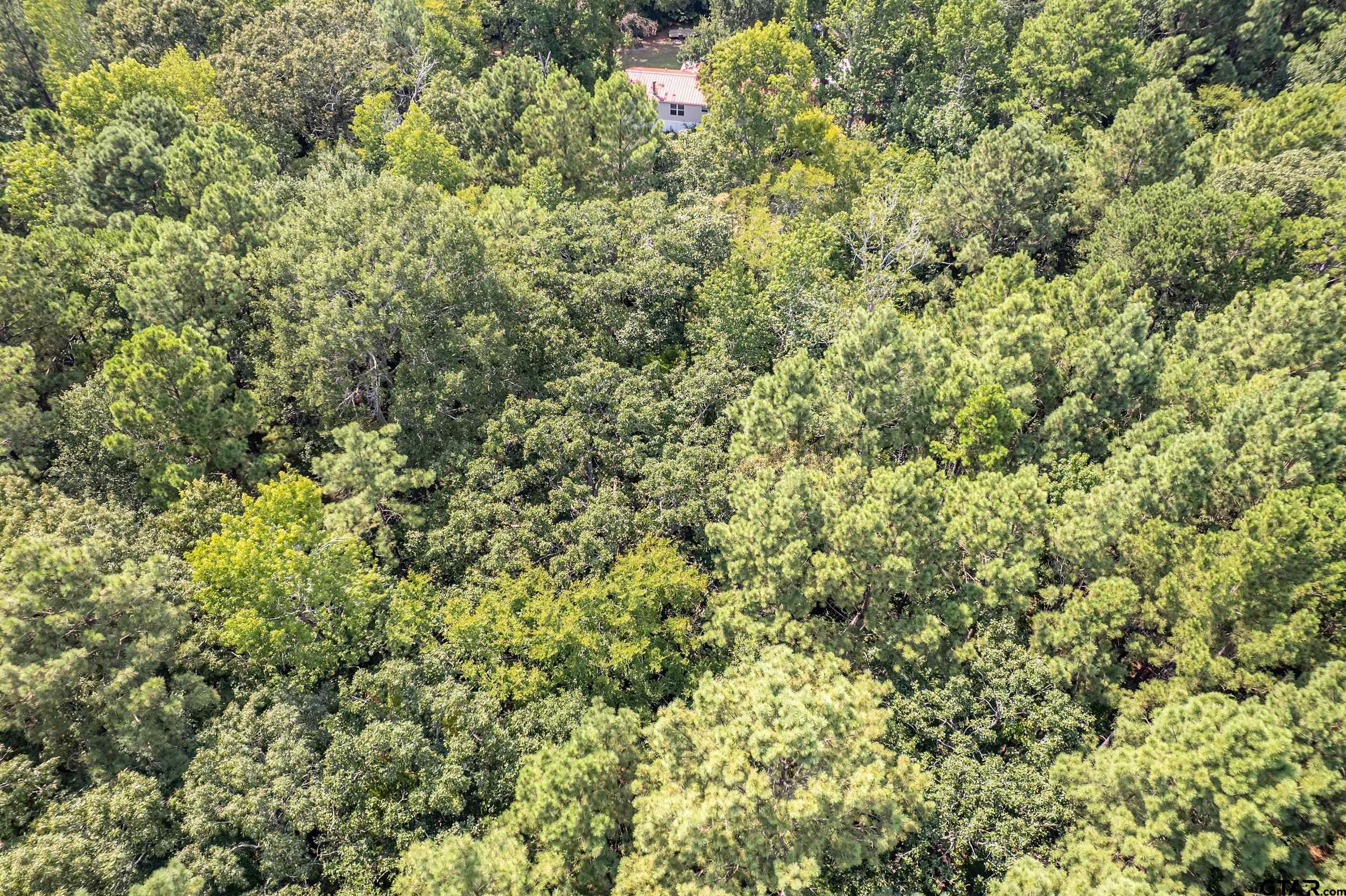 1655 County Road 2120 Rusk, TX 75785 - Photo 16 of 37