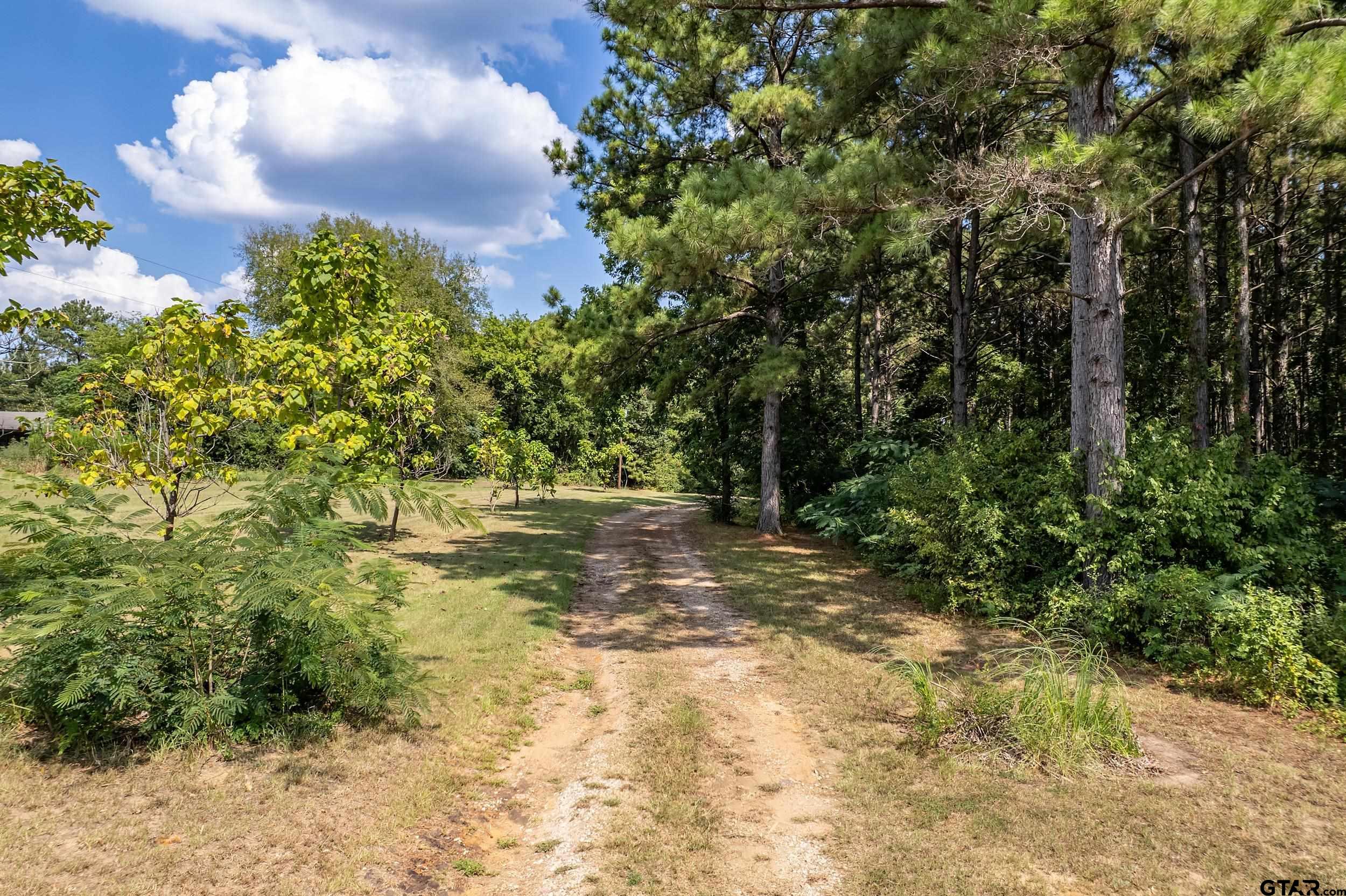 1655 County Road 2120 Rusk, TX 75785 - Photo 34 of 37 a view of a yard with plants and trees