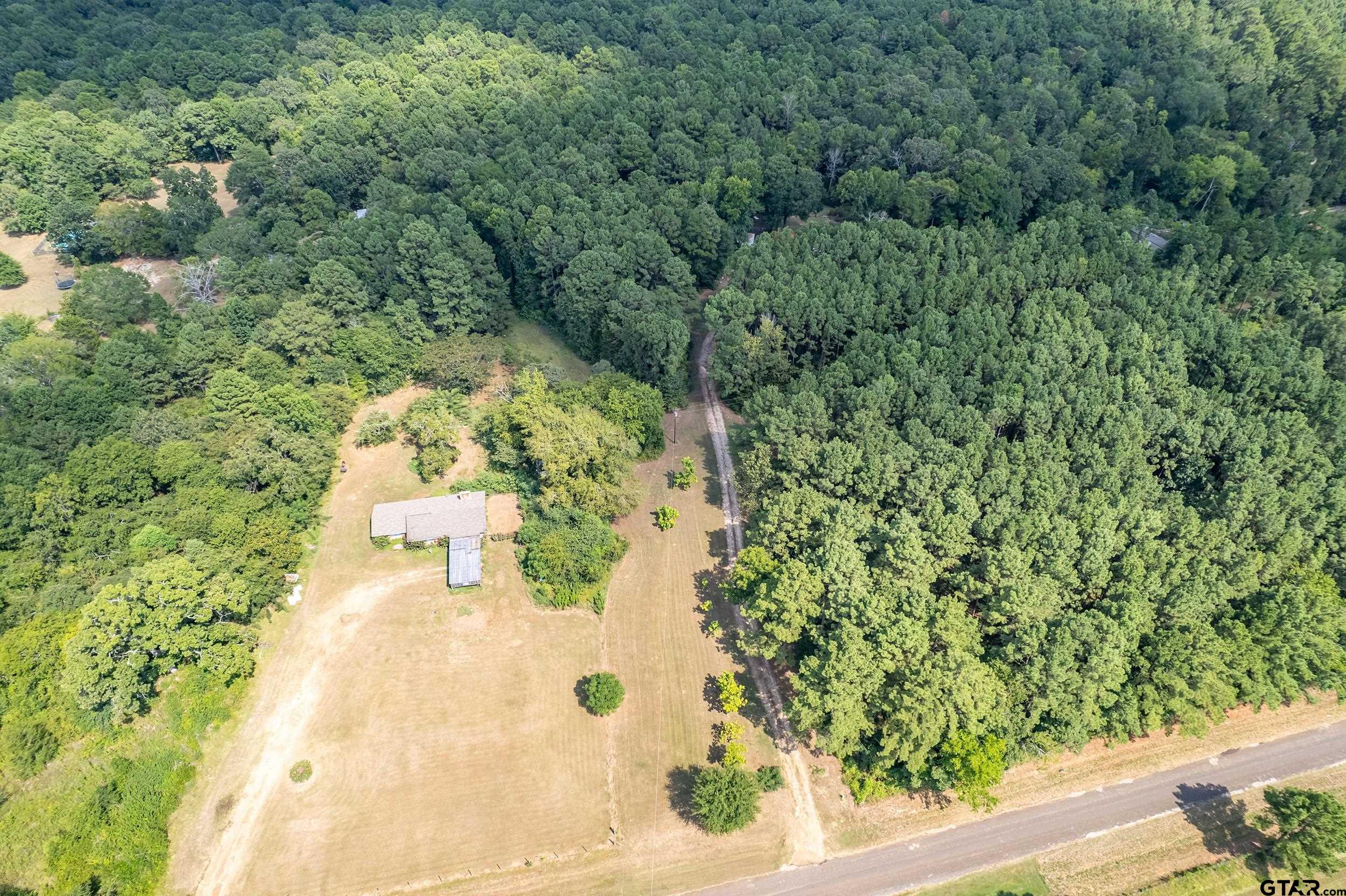 1655 County Road 2120 Rusk, TX 75785 - Photo 7 of 37 a view of a yard with trees