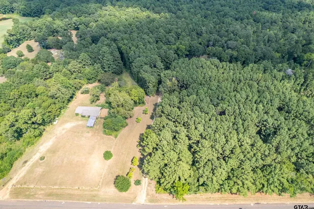 a view of a yard of a building